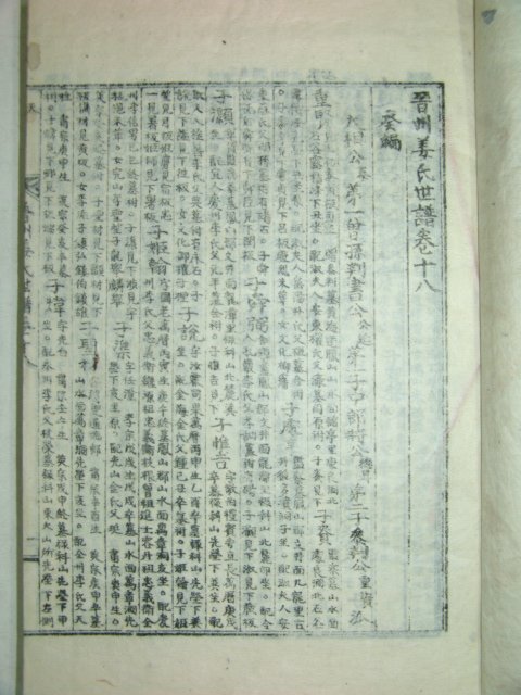 1915년간행 진주강씨세보(晉州姜氏世譜)18책완질