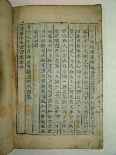 1803년(계해)목활자본 흥양이씨족보(興陽李氏族譜) 2책