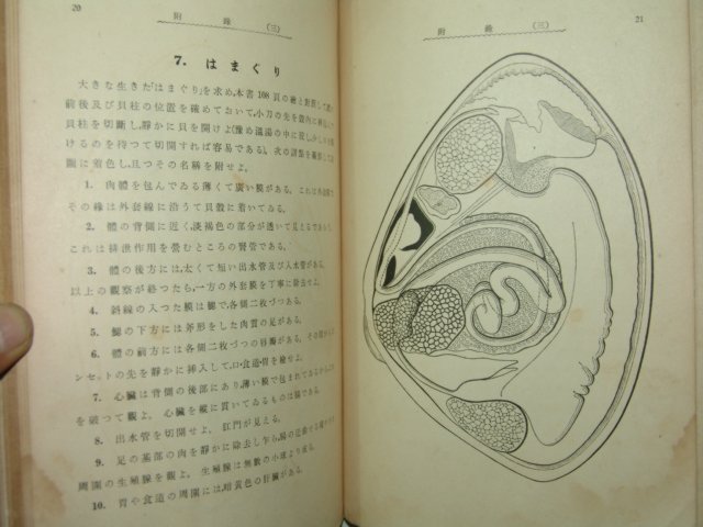 1938년 신수 동물교과서