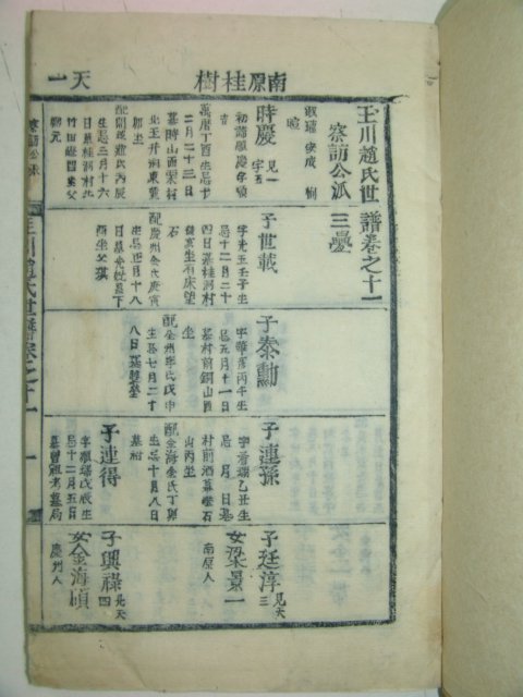 1923년 목활자본 옥천조씨세보(玉川趙氏世譜)19책완질