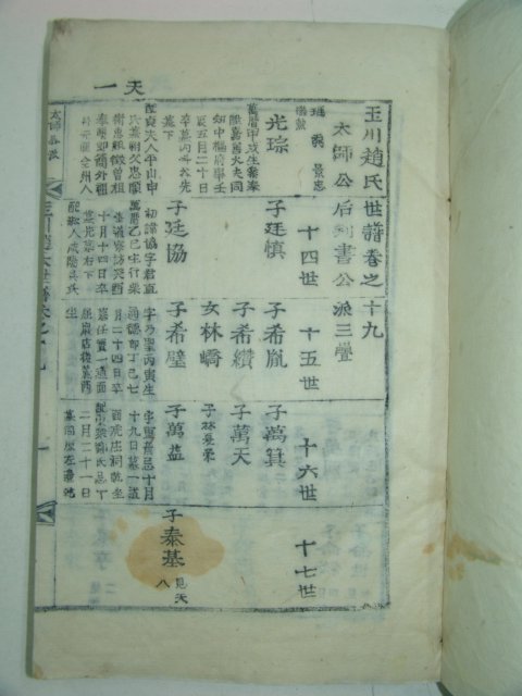 1923년 목활자본 옥천조씨세보(玉川趙氏世譜)19책완질