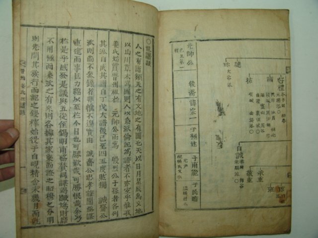 목활자본 壬辰仲夏白峴精舍重刊 진양강씨세보(晉陽姜氏世譜)1책완질