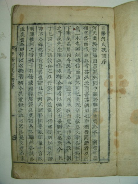 목활자본 진양하씨족보(晉陽河氏族譜)권1 1책