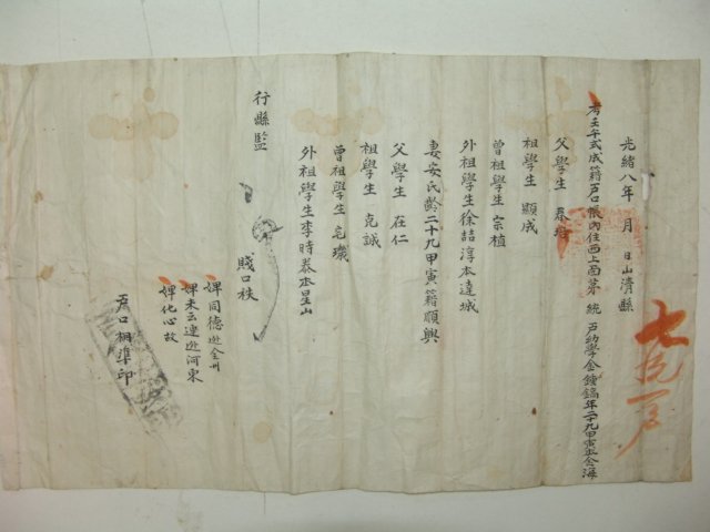 1882년(광서8년) 산청현 호구단자