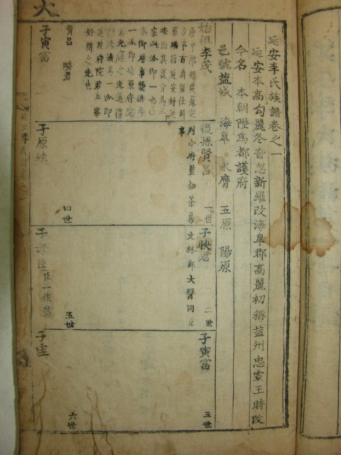 1729년(己酉譜)고활자본 연안이씨족보(延安李氏族譜)19권5책완질