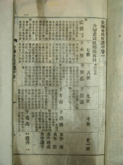 1954년 연활자본 김해김씨세보(金海金氏世譜)3책완질