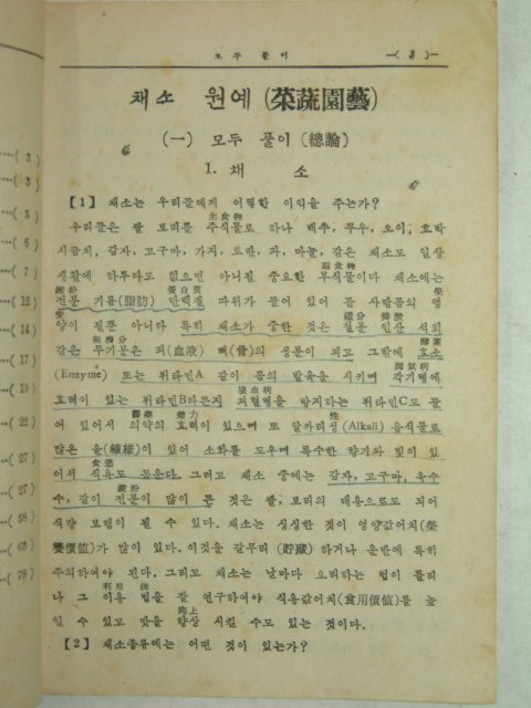 1948년 채소.원예