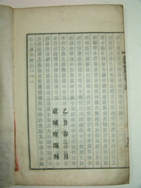 1925년간행 마주원(馬周元)編 충정사유지(忠靖祠遺誌)2책완질