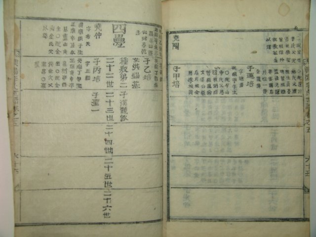 목활자본 흥양이씨세보(興陽李氏世譜)권4,5 1책