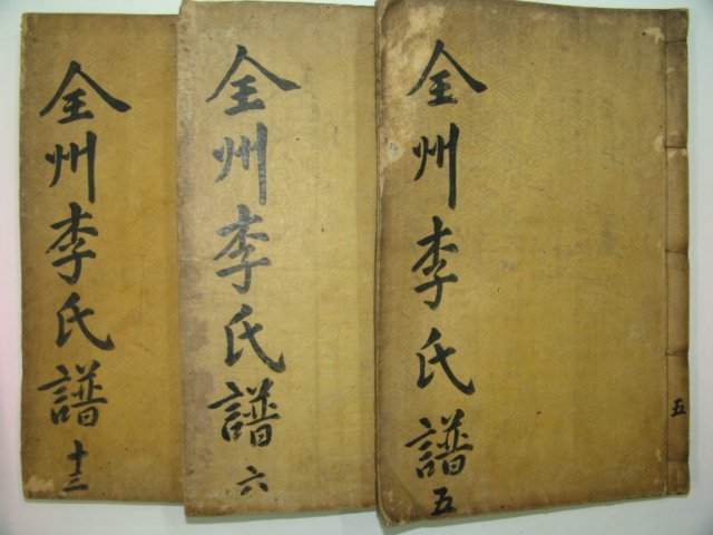 활자본 전주이씨 효령대군정효공자손보 3책