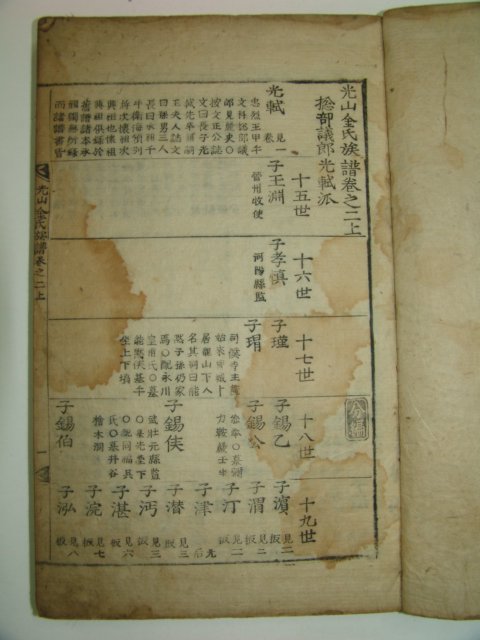 목활자본 광산김씨족보(光山金氏族譜) 3책(사진상 4책이나 실제3책임 권2상은 재고없음)