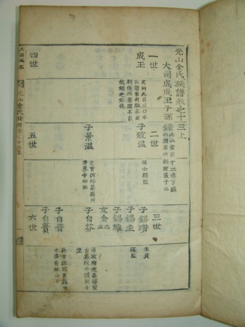 목활자본 광산김씨족보(光山金氏族譜) 3책(사진상 4책이나 실제3책임 권2상은 재고없음)