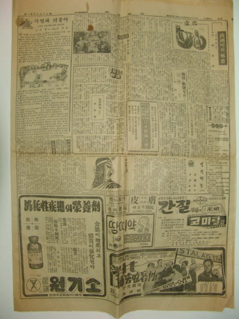 1956년6월23일자 조선일보