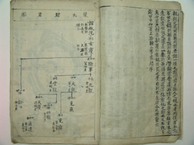 필사본 달성배씨족보(達城裴氏族譜) 1책완질