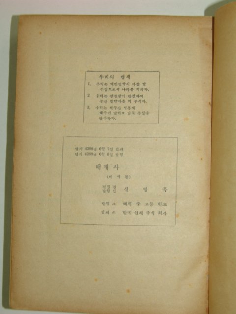 1955년 배재사(培材史)