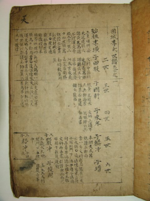 대형 필사본 철성(鐵城),고성(固城)이씨세보 3책