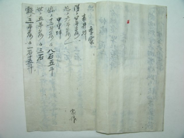 1905년(乙巳年) (表井坪) 양가추수기(兩家秋收記) 1책