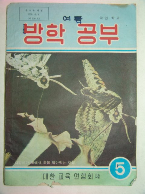 1976년 여름 방학공부 5학년