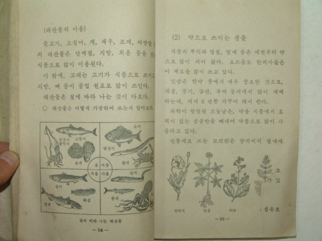 1972년 자연 6-1