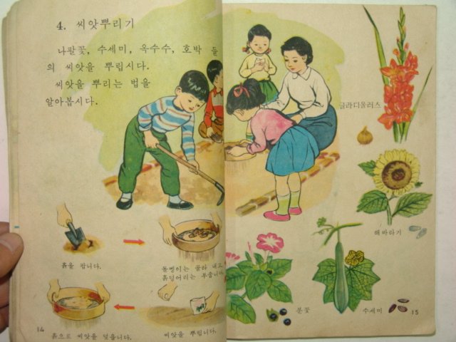 1966년 자연 2-1