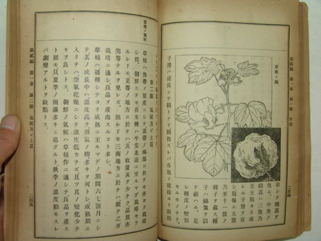 1914년 조선총독부 작물교과서