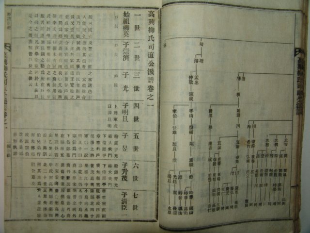 1959년(을해보) 고흥류씨사직공파보(高興柳氏司直公派譜)5책완질