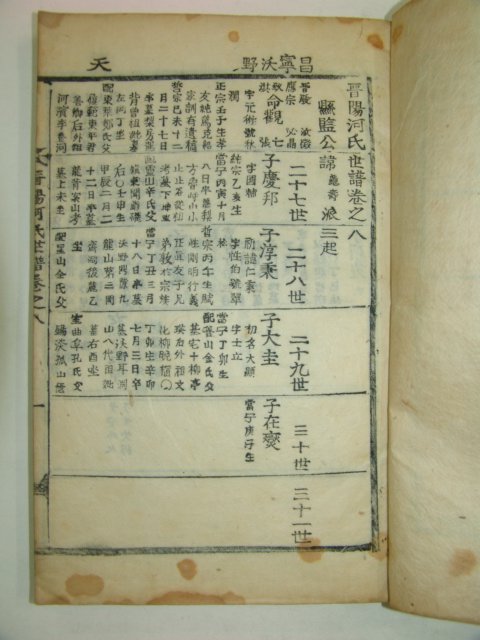 1901년(신축보) 진양하씨세보(晉陽河氏世譜)6책