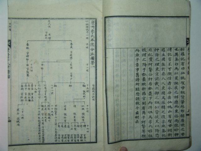 석판본 경주이씨세보(慶州李氏世譜)권1 1책