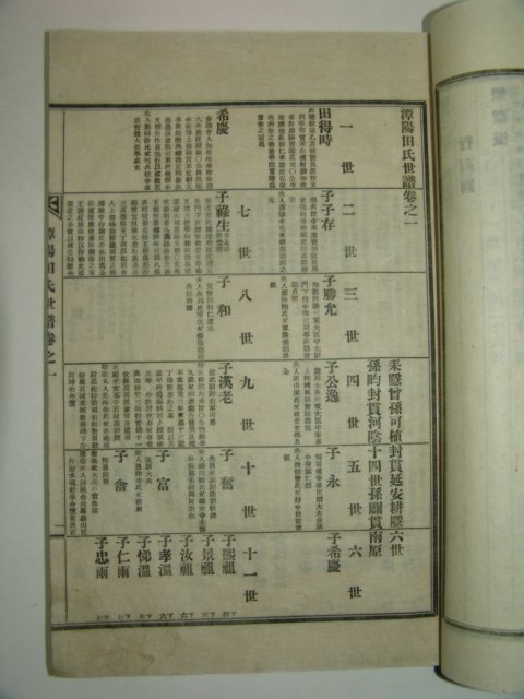 연활자본 담양전씨세보(潭陽田氏世譜) 4책