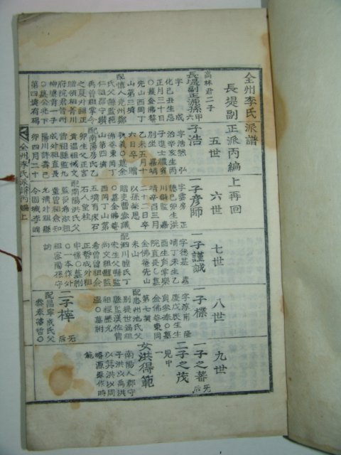 1857년 활자본 전주이씨파보(全州李氏派譜) 3책
