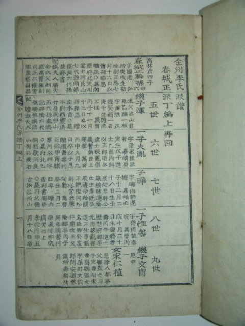 1857년 활자본 전주이씨파보(全州李氏派譜) 3책