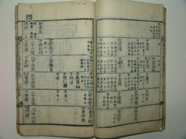 목활자본 광주이씨족보(廣州李氏族譜)권2,3 1책