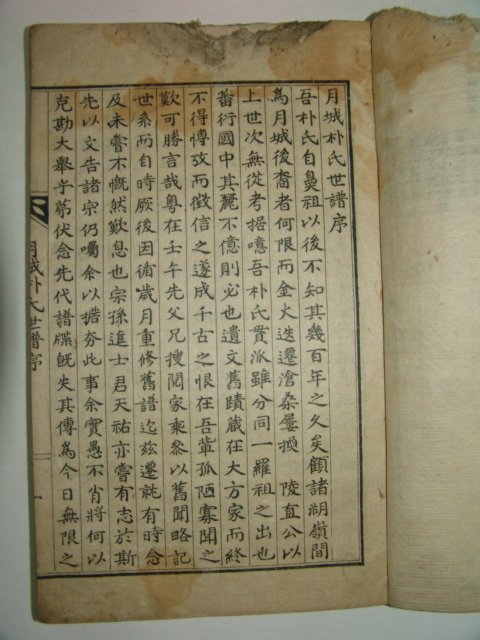1923년(계해보) 월성박씨세보(月城朴氏世譜) 3책