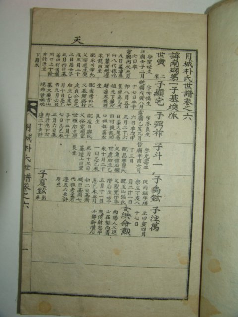 1923년(계해보) 월성박씨세보(月城朴氏世譜) 3책