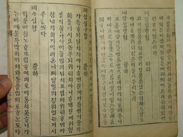 1881년(광서7년) 목판본 조군령적지 1책완질