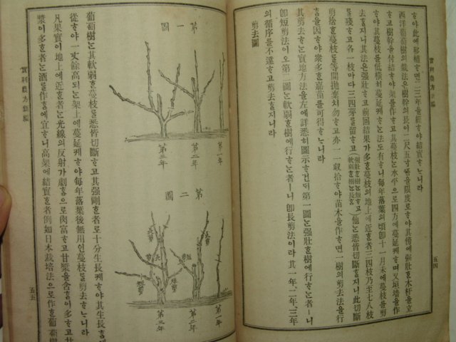 1909년(융희3년) 실리 농방신편(實利 農方新編) 1책완질
