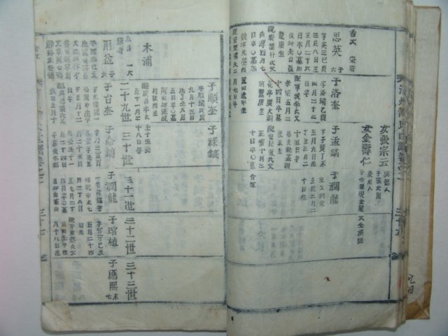목활자본 청주한씨세보(淸州韓氏世譜)권2,3 1책