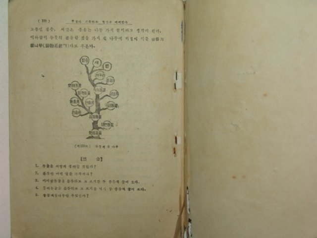 1954년 이민재 동물계