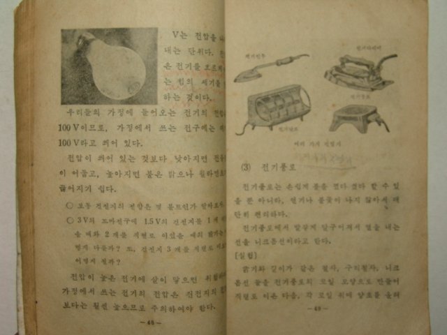 1960년 자연 5-2