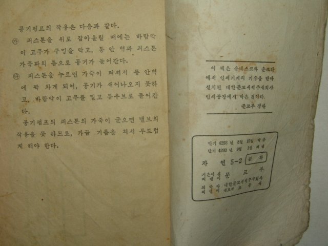 1960년 자연 5-2