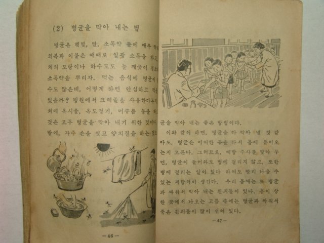 1961년 자연 4-1