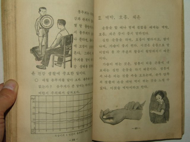 1969년 자연 4-1