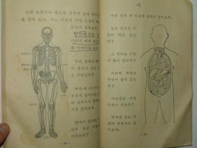 1974년 자연 6-2