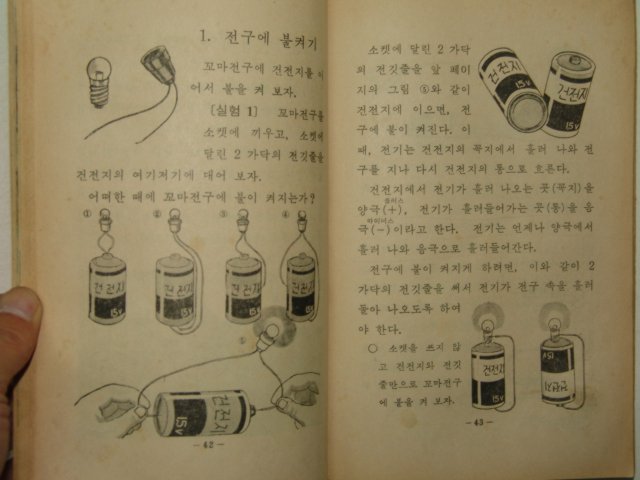 1969년 자연 4-2