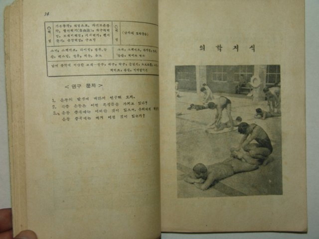 1956년 체육 3