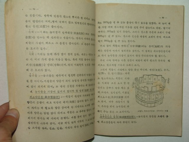 1952년 토양비료