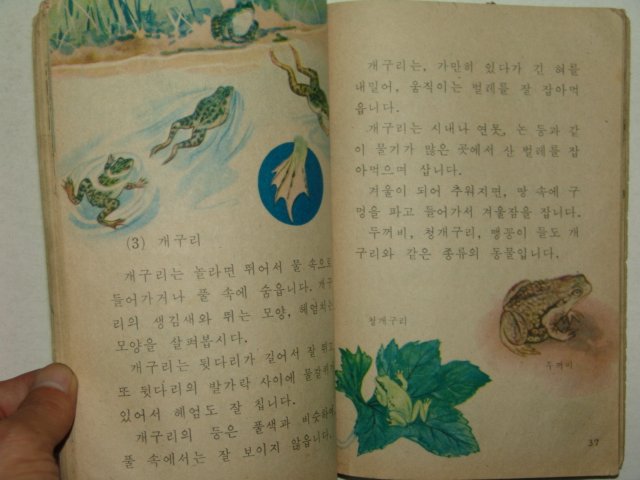 1969년 자연 3-1