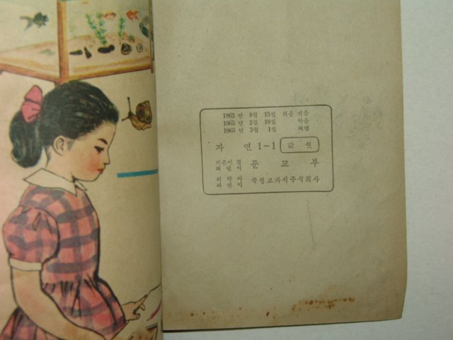 1965년 자연 1-1