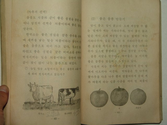 1970년 자연 6-1