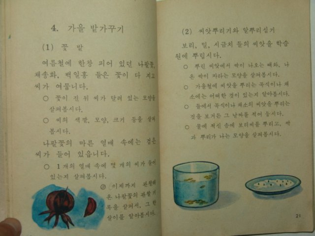 1971년 자연 3-2